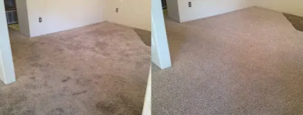 carpet & rug cleaning services