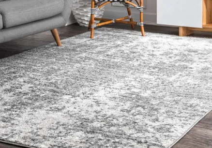 delicate area rug cleaning service