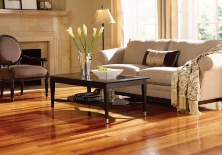 hardwood floor care and polishing