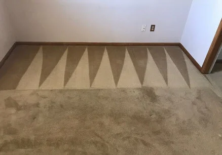 steam cleaning and home restoration